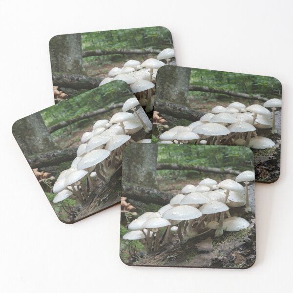 Item preview, White Mushrooms designed and sold by SunsetFirefly.