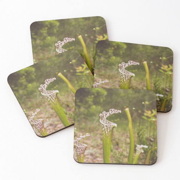 Item preview, pitcher plant designed and sold by bayoumaiden.
