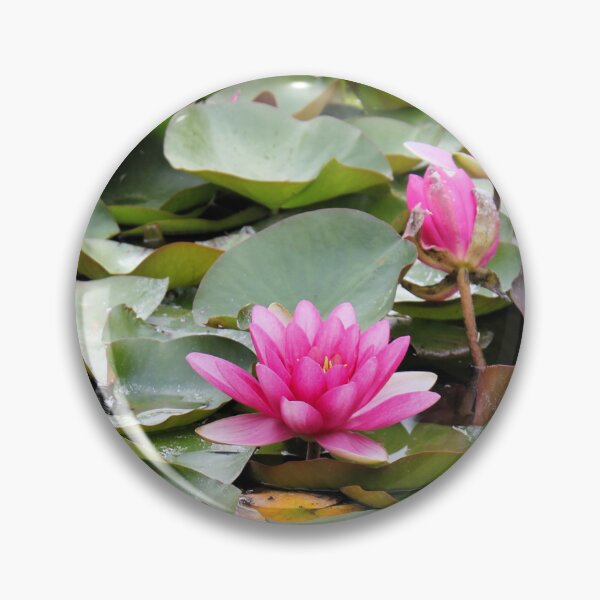 Item preview, Water Lilys designed and sold by SunsetFirefly.