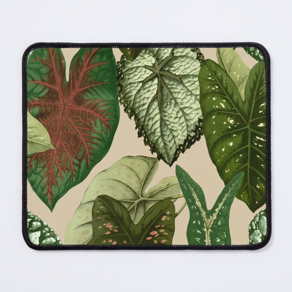Item preview, tropical plants designed and sold by bayoumaiden.