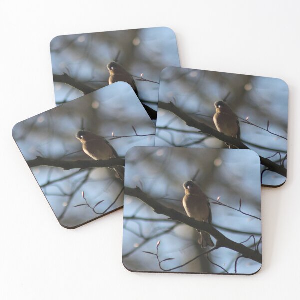 Item preview, Finch designed and sold by SunsetFirefly.
