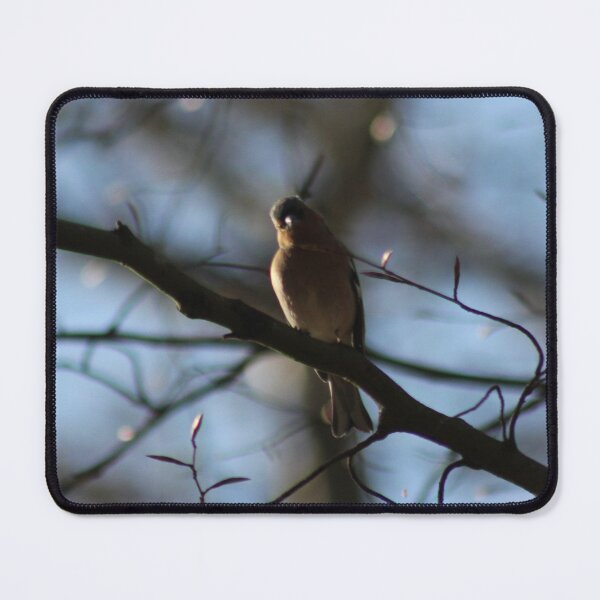 Item preview, Finch designed and sold by SunsetFirefly.