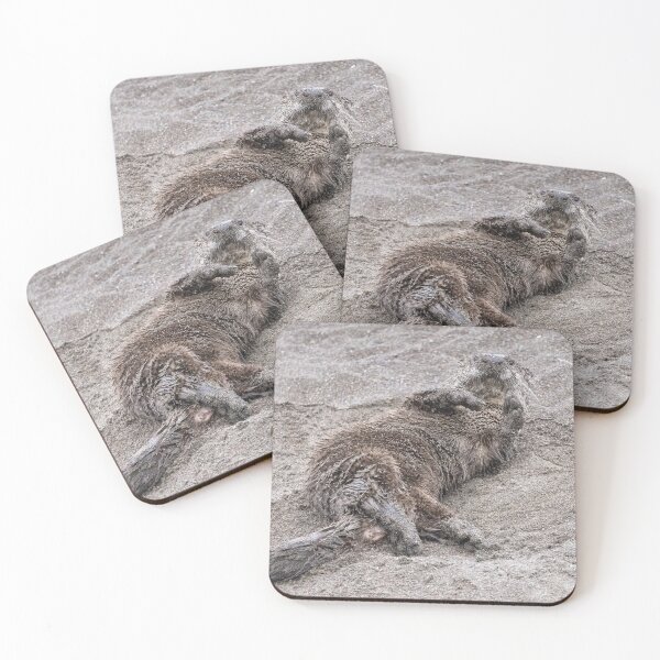 Item preview, Otter has a beach day designed and sold by Anthony Brewer.