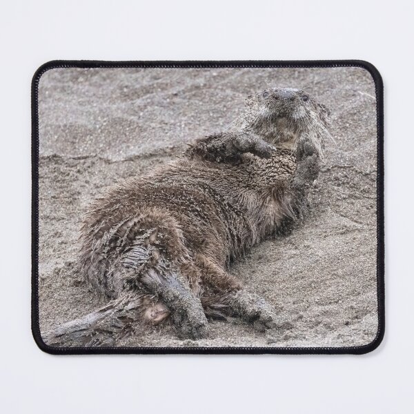 Item preview, Otter has a beach day designed and sold by Anthony Brewer.