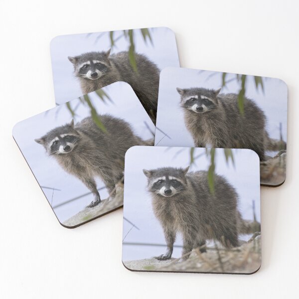 Item preview, Urban raccoon designed and sold by Anthony Brewer.