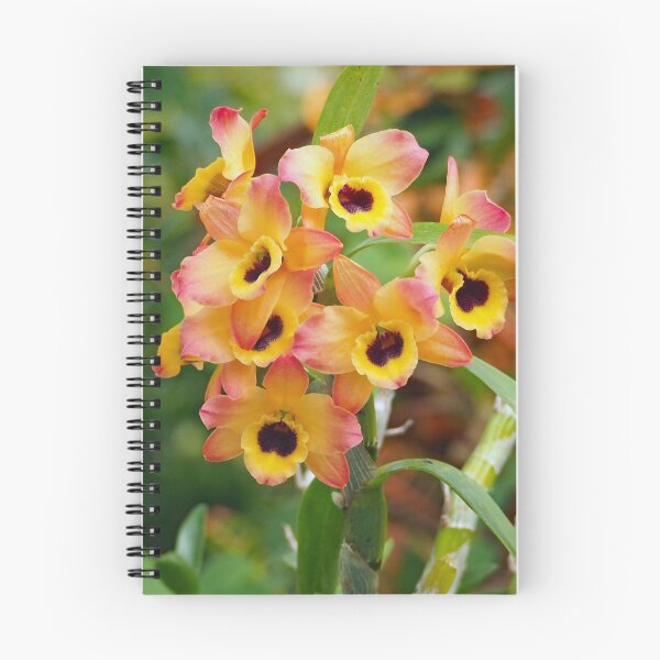 Item preview, Dendrobium Orchid designed and sold by Strawflower Oasis.
