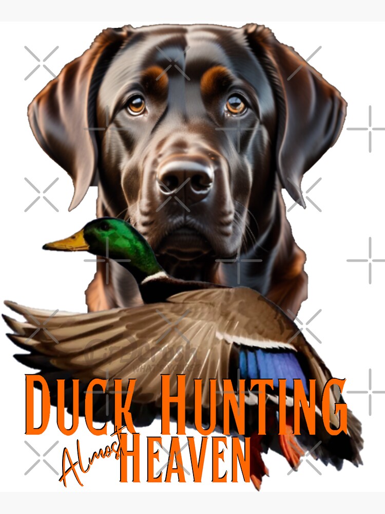 Duck Hunting Chocolate Labrador Retriever and Flying Mallard Magnet