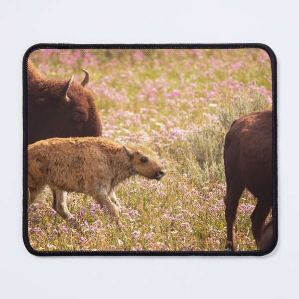 Item preview, Red Dog designed and sold by hesselphoto.