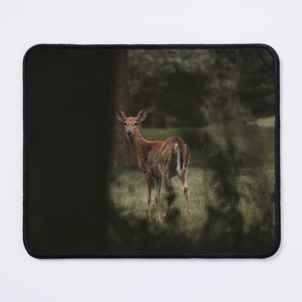 Item preview, Looking Back designed and sold by AlexsPhotos.