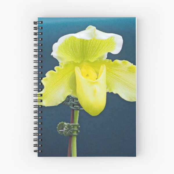 Item preview, Slipper Orchid 816 designed and sold by Strawflower Oasis.