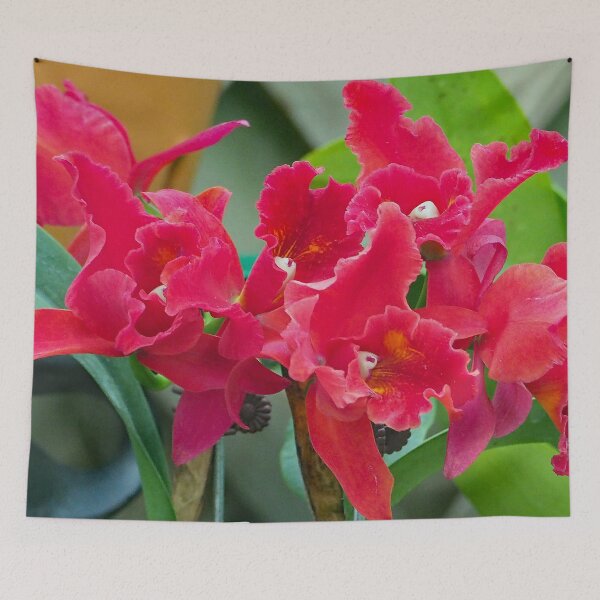 Item preview, Cattleya Orchid 831 designed and sold by Strawflower Oasis.