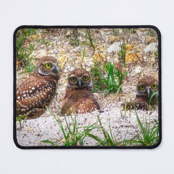 Item preview, Cheerful Triplet designed and sold by Alla Gill.