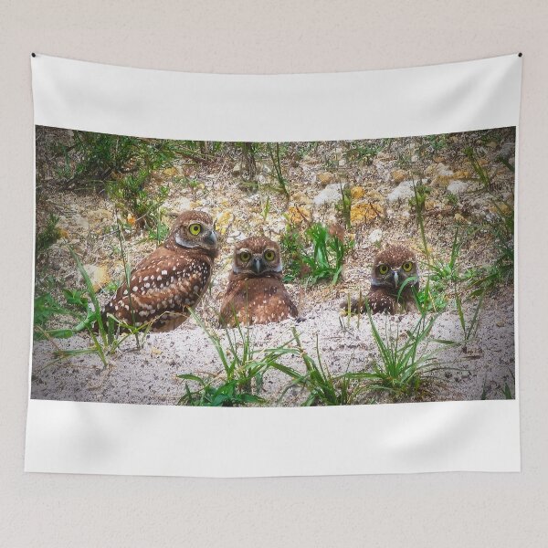 Item preview, Cheerful Triplet designed and sold by Alla Gill.