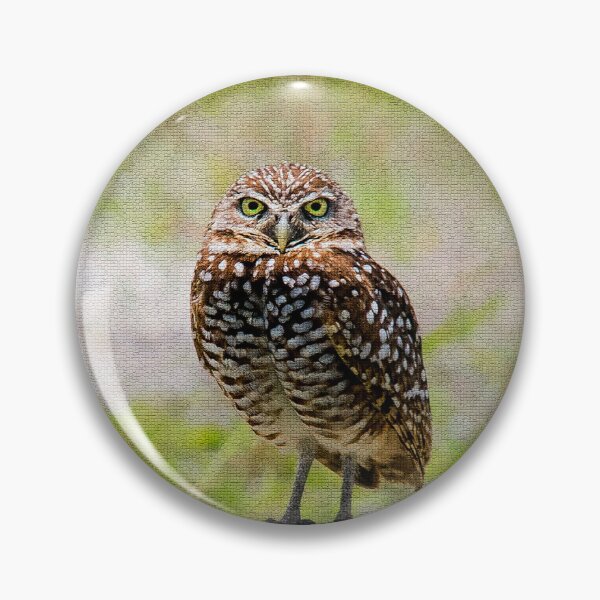 Item preview, Burrowing Owl designed and sold by Alla Gill.