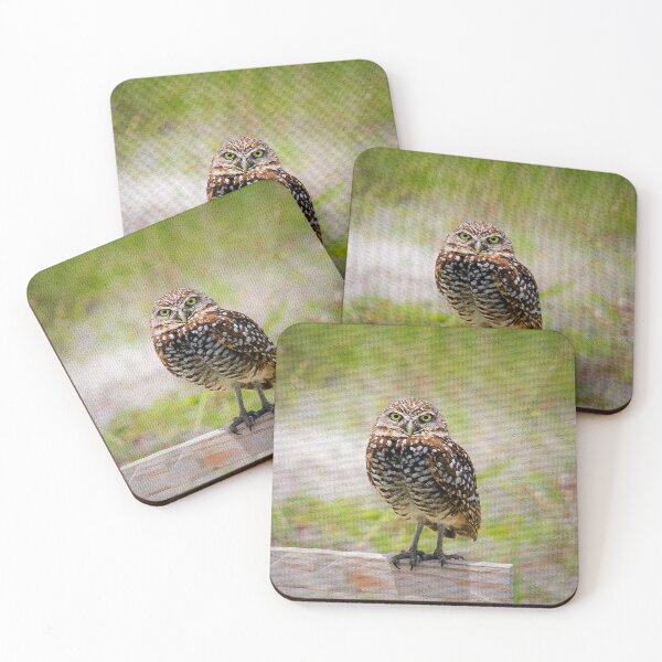 Item preview, Burrowing Owl designed and sold by Alla Gill.