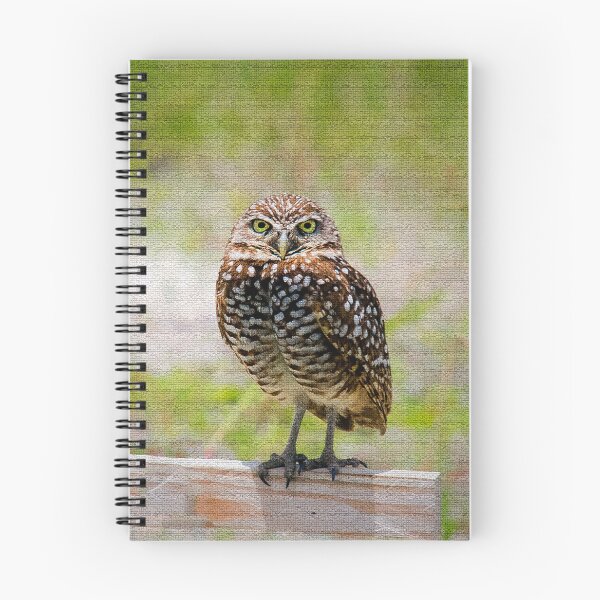 Item preview, Burrowing Owl designed and sold by Alla Gill.