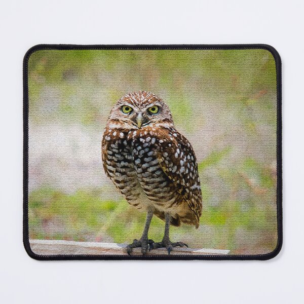 Item preview, Burrowing Owl designed and sold by Alla Gill.