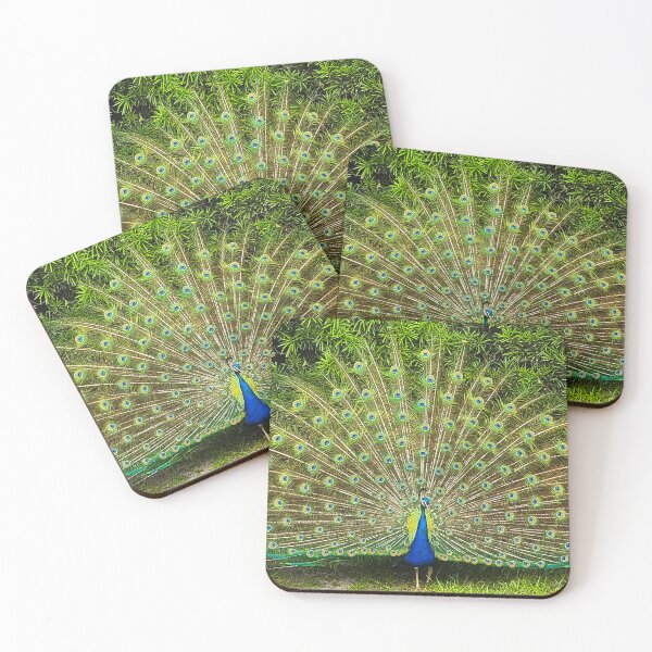 Item preview, Peacock in all its glory designed and sold by Alla Gill.