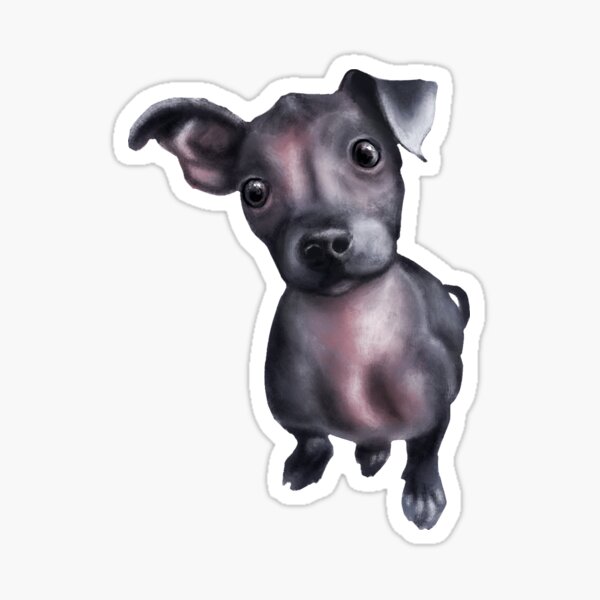 Item preview, Pintura digital de perro Xoloitzcuintli (Xolo) designed and sold by Funsize-Art.