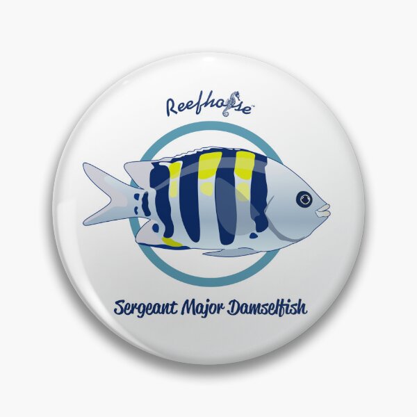 Item preview, Sergeant Major Damselfish designed and sold by KaplanCrypto.