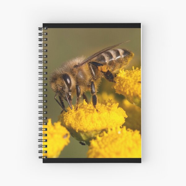 Honey Bee Spiral Notebook