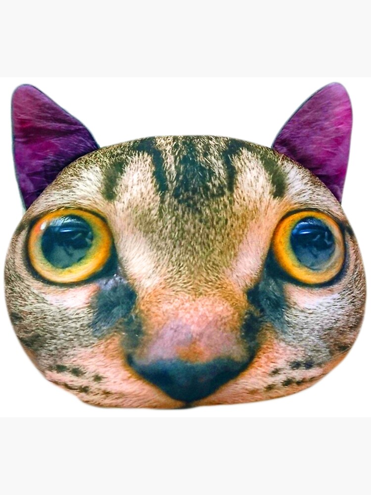 This is a cat, He is staring into your soul. (Pfp) by seal263815 on  DeviantArt