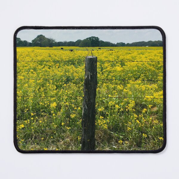 Item preview, A field of yellow flowers and cows in Texas designed and sold by Neeshki.