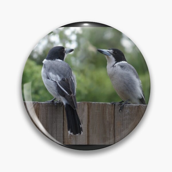 Item preview, The grey Australian Butcherbird, Australian lovely birds designed and sold by Basma Store.