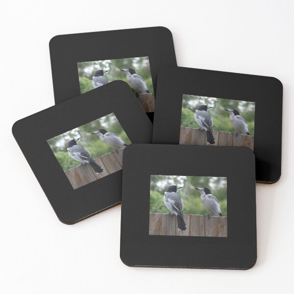 Item preview, The grey Australian Butcherbird, Australian lovely birds designed and sold by Basma Store.