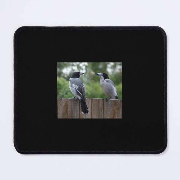 Item preview, The grey Australian Butcherbird, Australian lovely birds designed and sold by Basma Store.