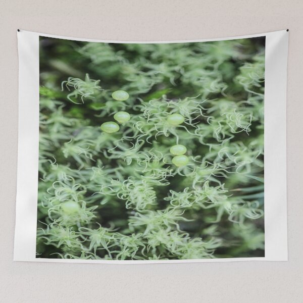 Item preview, Bright Green Moss designed and sold by Amy Louhela.