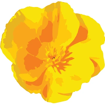 Artwork thumbnail, Golden Poppy by One-Raz