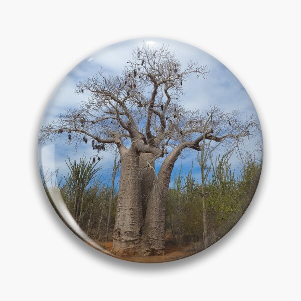 Item preview, Baobab Tree with Bird Nests designed and sold by Yair Karelic.