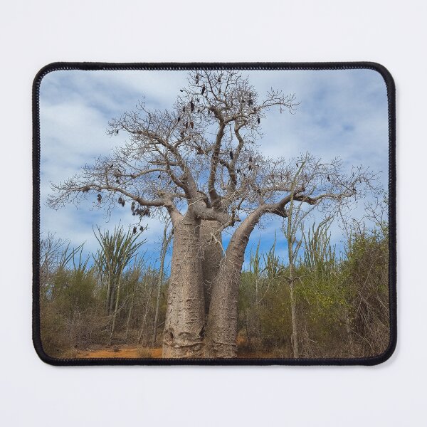 Item preview, Baobab Tree with Bird Nests designed and sold by Yair Karelic.
