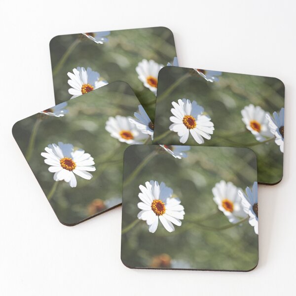 Item preview, With Golden Heart White Daisies designed and sold by Joy Watson - Natural Light Photography .