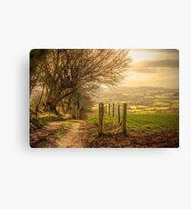 Country Tracks Canvas Print