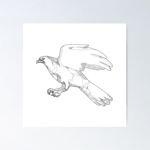 Item preview, Northern Goshawk Swooping Doodle Art designed and sold by patrimonio.