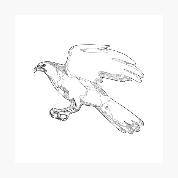 Item preview, Northern Goshawk Swooping Doodle Art designed and sold by patrimonio.