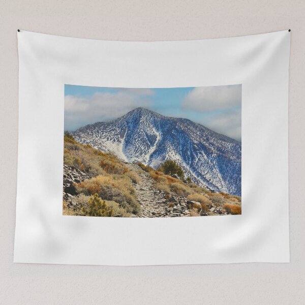 Item preview, Climbing Telescope Peak, Death Valley National Park designed and sold by yhelfman.