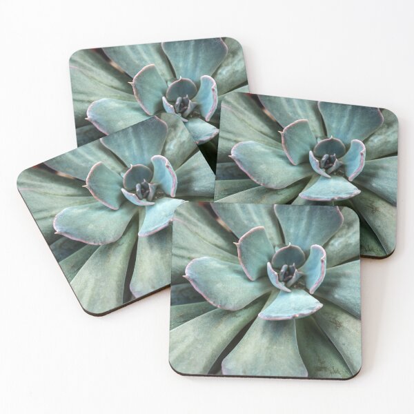 Item preview, Leaves detail close up of Echeveria Succulent plant designed and sold by Satakorn.