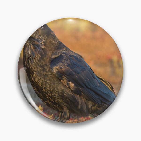 Item preview, Common Raven with meal designed and sold by yhelfman.