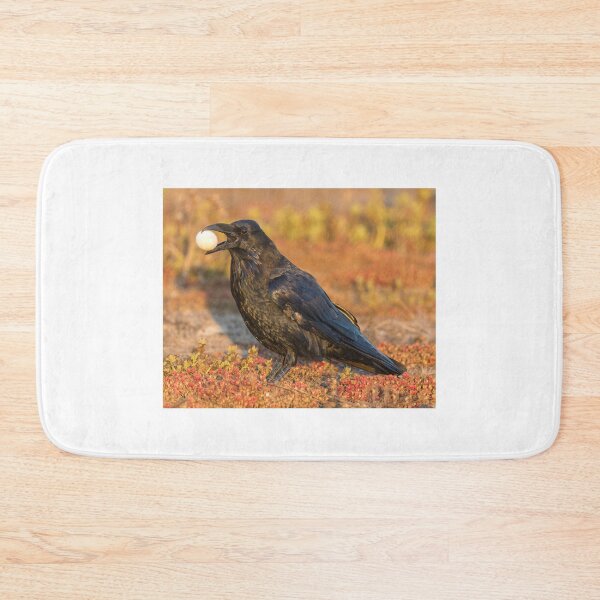 Item preview, Common Raven with meal designed and sold by yhelfman.