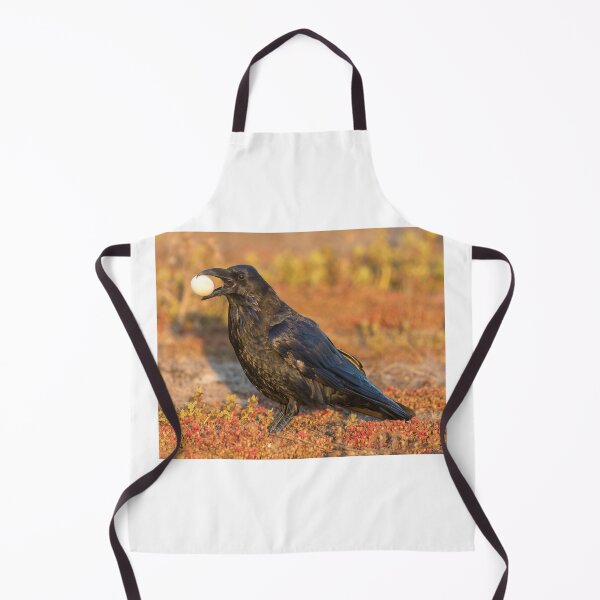 Item preview, Common Raven with meal designed and sold by yhelfman.