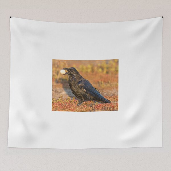 Item preview, Common Raven with meal designed and sold by yhelfman.