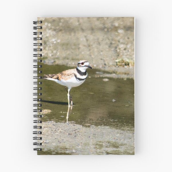 Item preview, Killdeer designed and sold by MoreGoodArt.