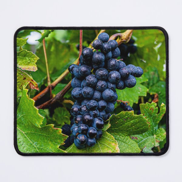 Item preview, Ripe grapes ready to harvest designed and sold by MSPicArt.