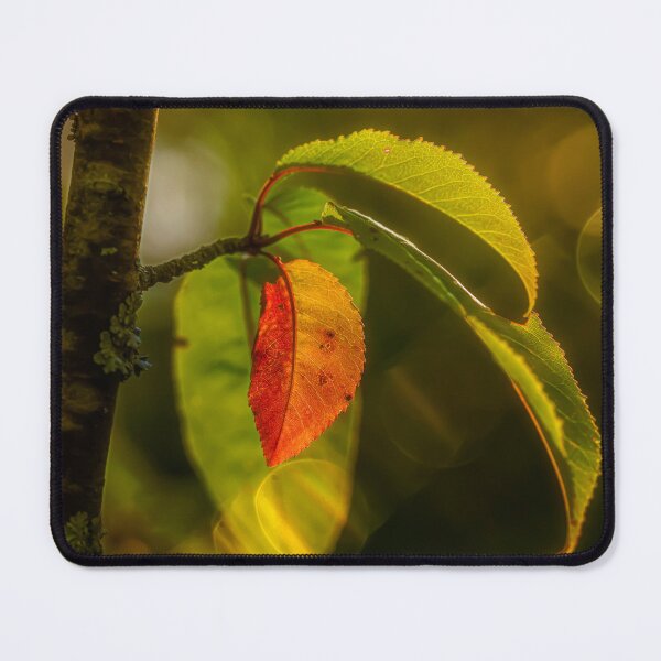 Item preview, Autumn leaves 2 designed and sold by Veikko  Suikkanen.