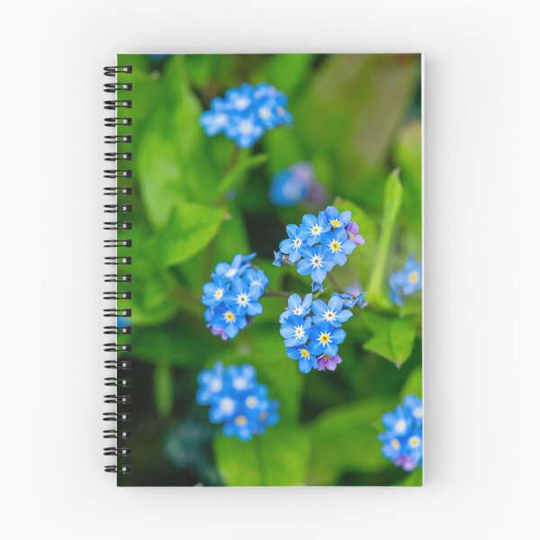 Item preview, Forget me nots beautiful spring flowers designed and sold by Dalyndigital Photography.