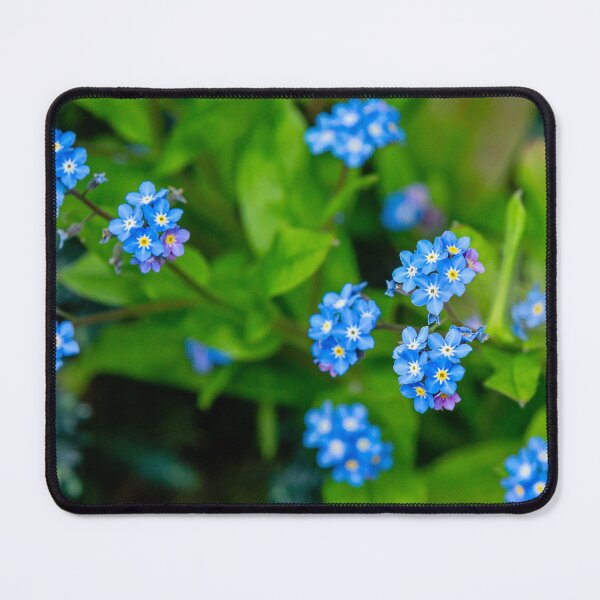 Item preview, Forget me nots beautiful spring flowers designed and sold by Dalyndigital Photography.