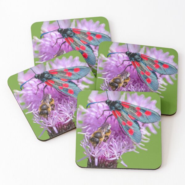 Item preview, Burnet Moth and a Bee on a Knapweed flower designed and sold by Dalyndigital Photography.